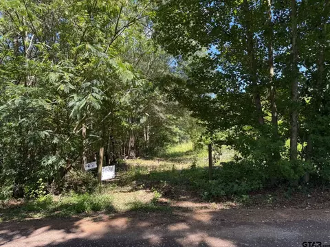 4078 County Rd 398, Tyler, TX 75705