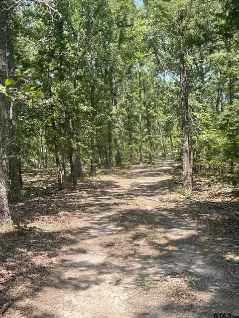 727 County Road 1676, Alba, TX 75410