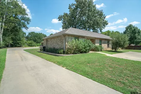 202 Chestnut Dr, Van, TX 75790 photo 3