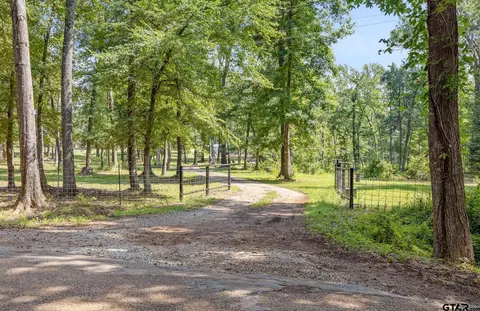 1927 Vz County Road 4915, Ben Wheeler, TX 75754