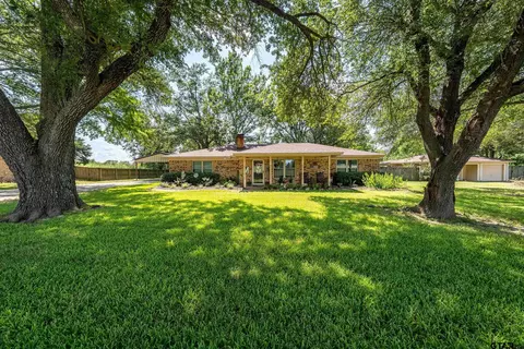 229 Chestnut Dr, Van, TX 75790