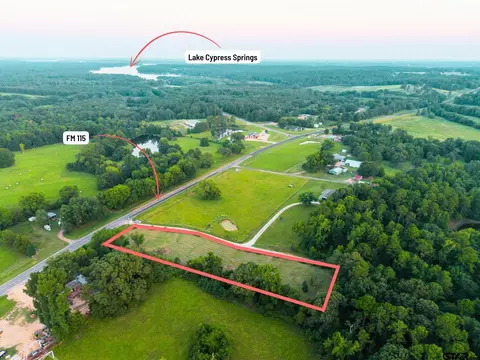 4288 Fm 115, Mount Vernon, TX 75457