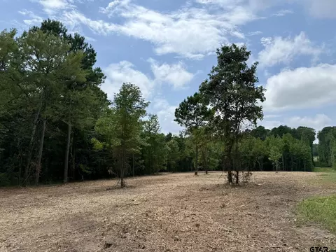 tbd County Road 3408, Jefferson, TX 75657