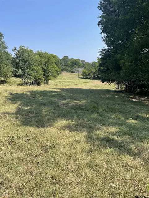 tbd SE Cr 4235, Mount Vernon, TX 75457