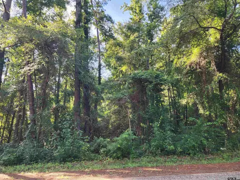tbd Cr 384, Tyler, TX 75708