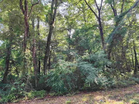 tbd Cr 378, Tyler, TX 75708