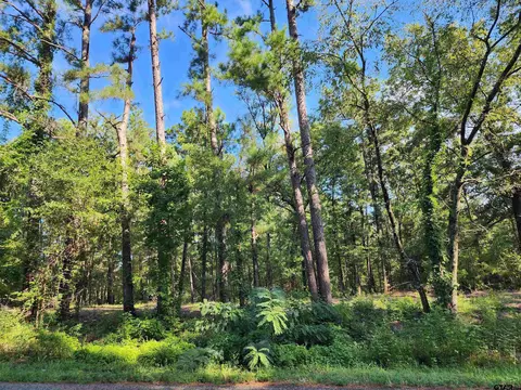tbd Cr 378, Tyler, TX 75708