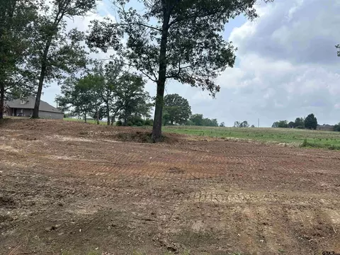 2 Acres Tbd County Road 2169, Troup, TX 75789