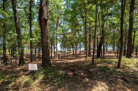 lot5 Big Oaks, Leesburg, TX 75451