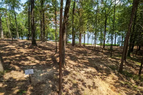 lot7 Big Oaks, Leesburg, TX 75451