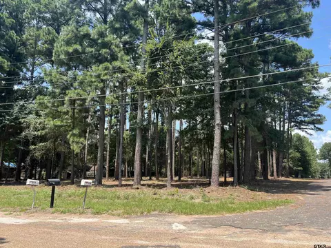 tbd Sunny Rdg, Murchison, TX 75778