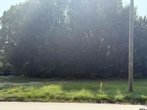 5378 Hollytree Dr, Tyler, TX 75703