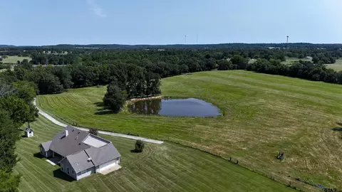 14100 Cr 4403, Larue, TX 75770
