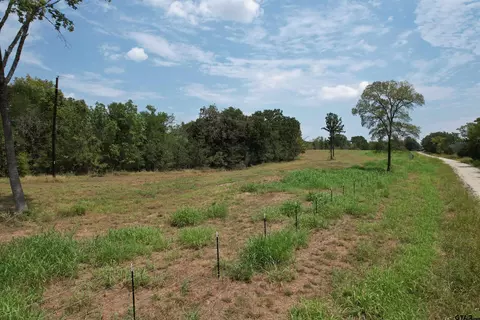 tbd Cr 3470, Lovelady, TX 75851