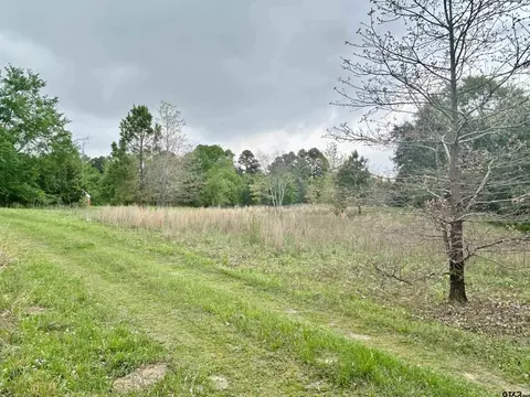 14700 Cr 3608, Brownsboro, TX 75756
