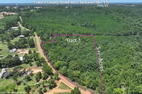 Tract 3 County Road 4102, Jacksonville, TX 75766