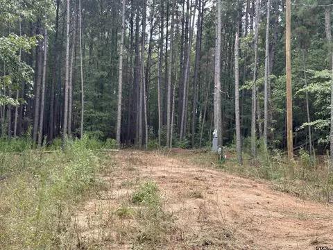 870 Cr 1675, Mount Pleasant, TX 75455