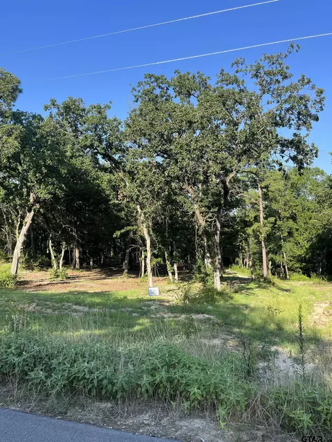 3242 Shadow Pine Dr, Larue, TX 75770