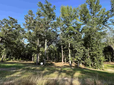 3226 Shadow Pine Dr, Larue, TX 75770