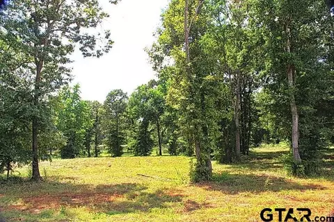 805 Stone Chimney Rd, Bullard, TX 75757