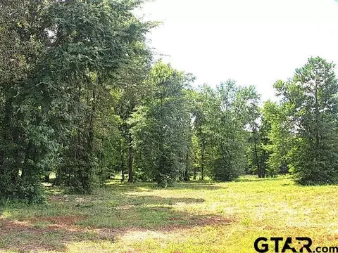 835 Stone Chimney Rd, Bullard, TX 75757