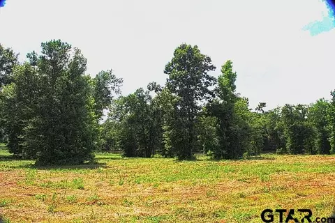 865 Stone Chimney Rd, Bullard, TX 75757