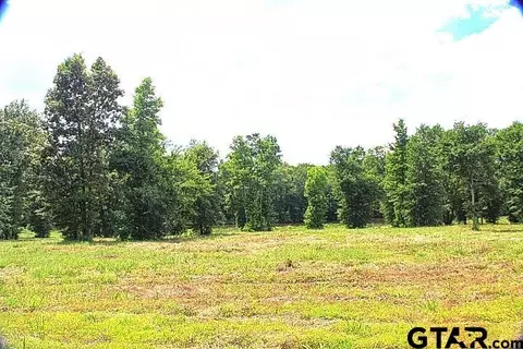 885 Stone Chimney Rd, Bullard, TX 75757
