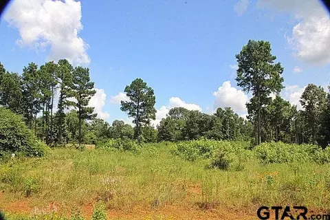 920 Stone Chimney Rd, Bullard, TX 75757
