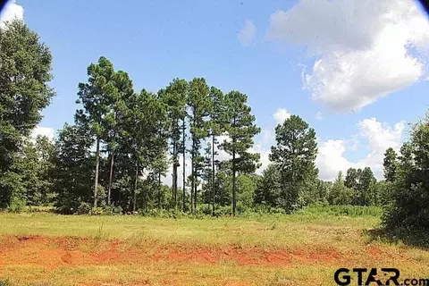 900 Stone Chimney Rd, Bullard, TX 75757