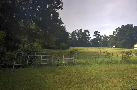 4 4 Ac Fm 1247, Wells, TX 75976