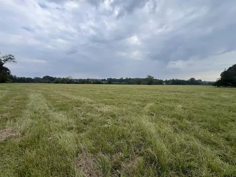 tbd Fm 250 N, Naples, TX 75568