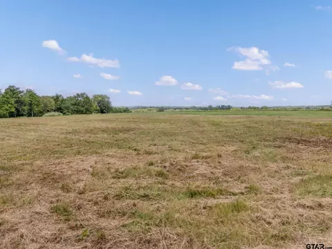 tbd Acr 148, Palestine, TX 75803