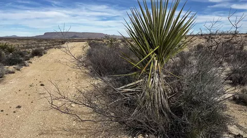900 Rancho Manana Loop Pid 13910, Terlingua, TX 79852