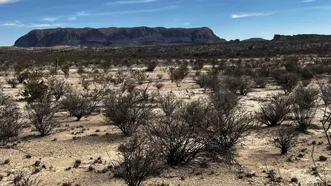 13962 Rancho Manana Loop Pid 13962, Terlingua, TX 79852