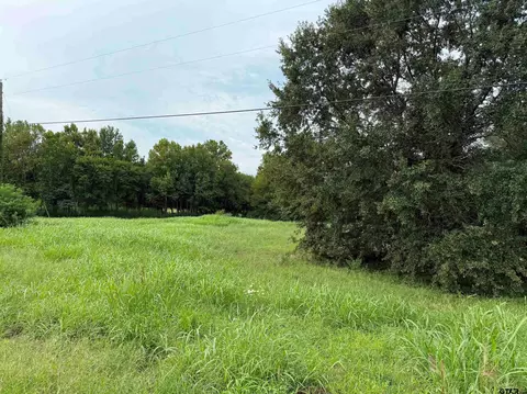 tbd E Sh 11, Winnsboro, TX 75494