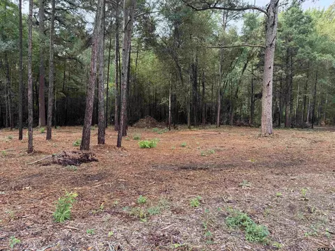 11503 C R 168, Tyler, TX 75703