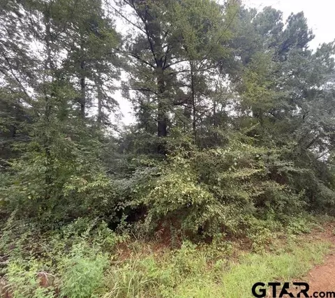 244 Sand Jack Dr, Bullard, TX 75757