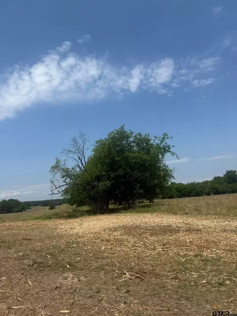 lot13 Fm 3236, Sulphur Springs, TX 75482