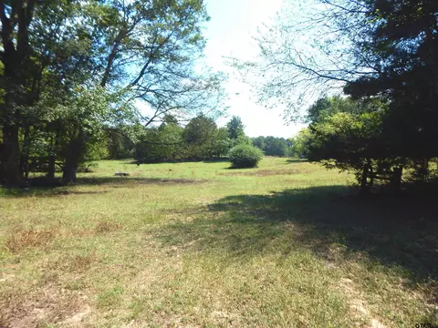 tbd 45 Hwy 155, Gilmer, TX 75644