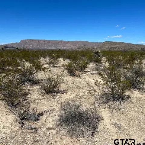 31466 Ringtail North Tract, Terlingua, TX 79852