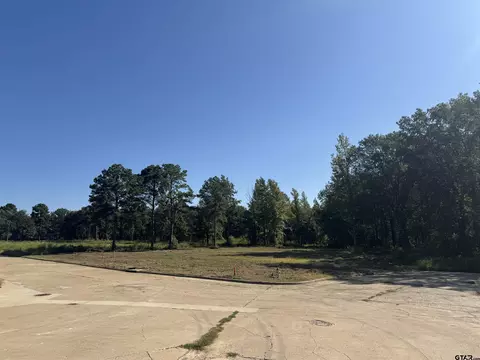 161 Cardinal Ln, Mount Pleasant, TX 75455