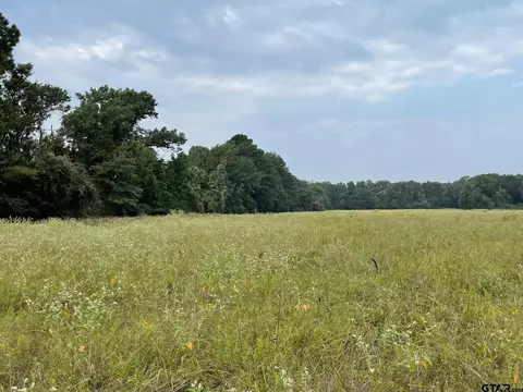 tbd Acr 336, Palestine, TX 75801