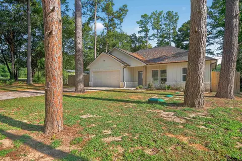 10997 Forest Ln, Frankston, TX 75763