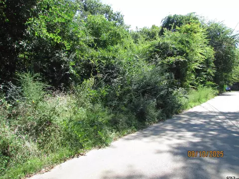413 Parker Ave, Tyler, TX 75702