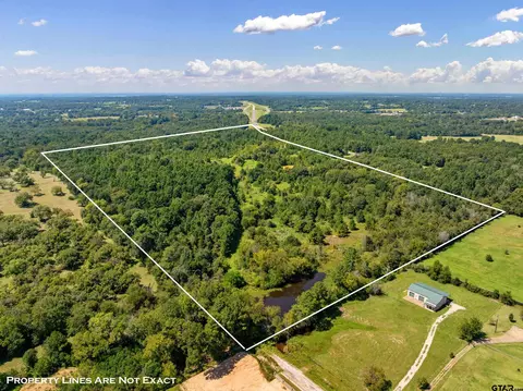 tbd C R 166, Tyler, TX 75703