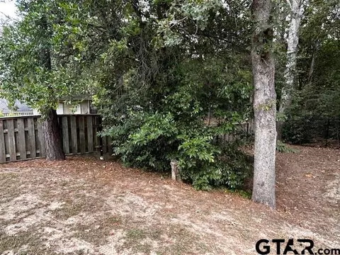 319 E Hideaway, Hideaway, TX 75771 photo 33