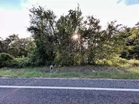 lot1 Fm 1519, Leesburg, TX 75451