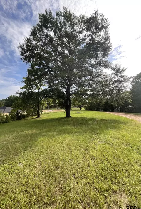 403 E Front St, Arp, TX 75750 photo 23