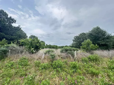 2950 Cr 3306, Jacksonville, TX 75766