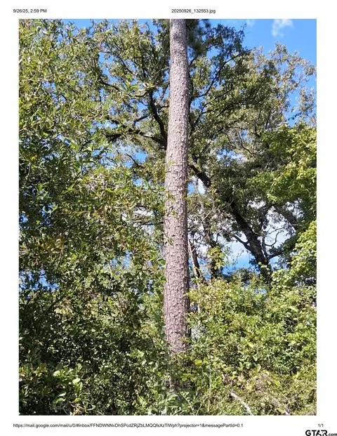 0 Fm 357, Apple Springs, TX 75926